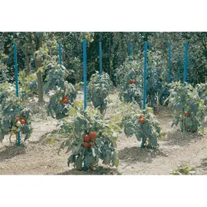 Tutor de tomates de PVC con reserva de agua Nortene Aquamont image-1