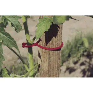 Special tomato clip Nortene (x25) image-1