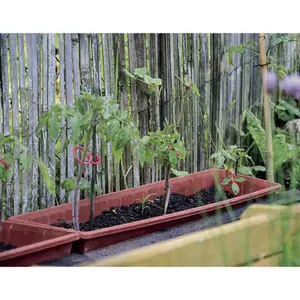 Special tomato clip Nortene (x25) image-2