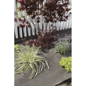 Feltro de materia plástica vegetal Nortene image-1