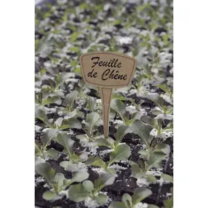 Pflanzenschilder Nortene Label (x5) image-0