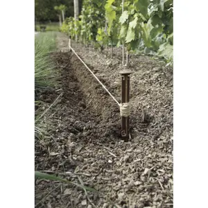 Cuerda de sisal Nortene FIB image-2