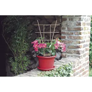 Tutor para plantas en macetas Nortene FIB image-1