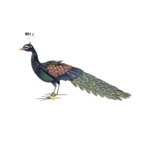 Paon décoratif stylisé Nortene Peacky