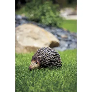 Stylized decorative hedgehog Nortene Hogy image-0