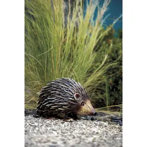Stylized decorative hedgehog Nortene Hogy image-2