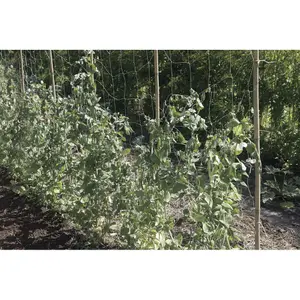 Red para remar biodegradable compostable Nortene Trellinet Bio image-0