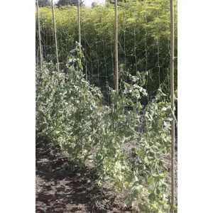 Red para remar biodegradable compostable Nortene Trellinet Bio image-1