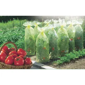 Funda de crecimiento para tomates LDPE 50 micrones Nortene TomatoTube image-0