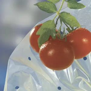 Funda de crecimiento para tomates LDPE 50 micrones Nortene TomatoTube image-1