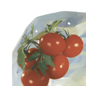 Funda de crecimiento para tomates LDPE 50 micrones Nortene TomatoTube image-2