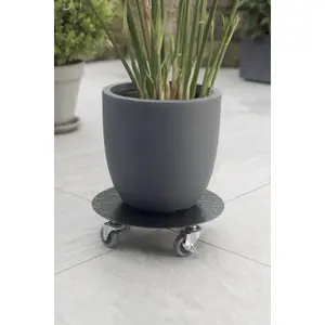 Soporte rodante de metal con acabado estriado Nortene Flora Roll Factory image-2