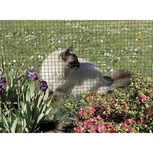 Plastisk belagt metalgitter kvadratisk Nortene Fensanet image-4