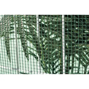 Plastisk belagt metalgitter kvadratisk Nortene Fensanet image-6