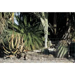 Coated metal fencing residential Nortene Decomet 75 image-3