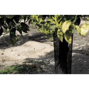 Manga de protección para troncos Nortene Treex (x6) image-0