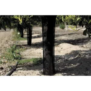 Manga de protección para troncos Nortene Treex (x6) image-3