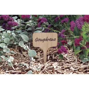 Etiquetas de bambú para plantar Nortene Label (x10) image-1