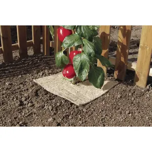 Mulch natural Nortene Chanvrelin image-4