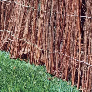 Brandia de brezo Nortene Medium image-2