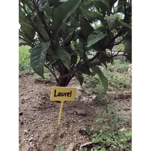 Etiquetas para plantar con rotulador Nortene Label (x10) image-0