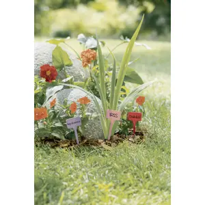Etiquetas para plantar con rotulador Nortene Label (x10) image-1