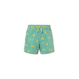 673720-c007-swim-shorts-printed-north-sails-basic-volley-combo-7