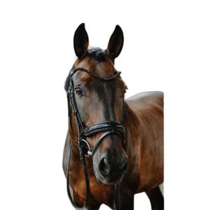 Trense Norton Royal image-1