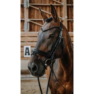 Trense Norton Royal image-2