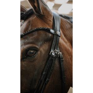 Trense Norton Royal image-4