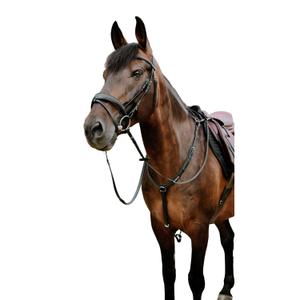 301928202-combined-riding-bridle-and-noseband-norton-pop-black