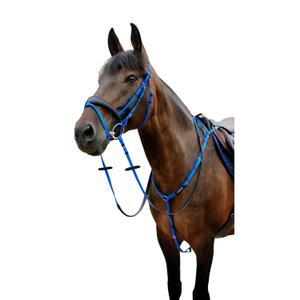 301928206-combined-riding-bridle-and-noseband-norton-pop-royal-blue