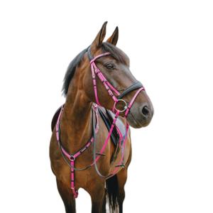 301928213-combined-riding-bridle-and-noseband-norton-pop-pink