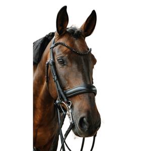 303007302-combined-riding-bridle-and-noseband-norton-onyx-black-full