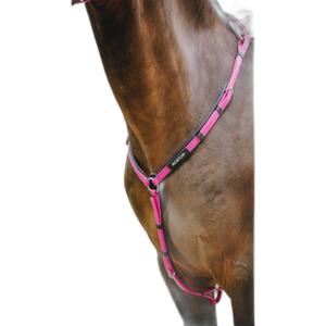 306617213-jagdhalsband-fur-pferde-norton-endurance-pop-rosa