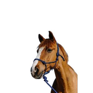 Etologisk grime og føringsreb til hest Norton Duo image-1