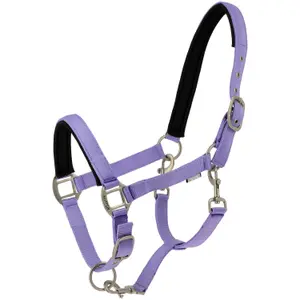 Halter for horse Norton Nacre image-0