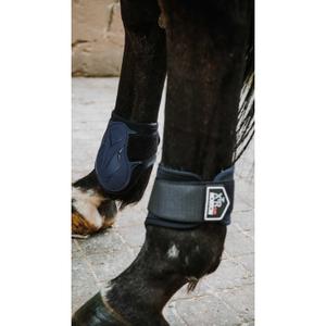 Flettenti di cavallo Norton XTR Flex image-2