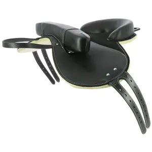 101040002-bardett-for-hast-norton-club-luxe-svart-tu