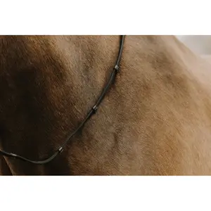 Collier pour cheval en caoutchouc Norton Club Oily image-3