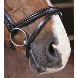 Bridles Norton Pro Fin image-2