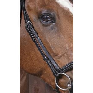 Bridles Norton Pro Fin image-3