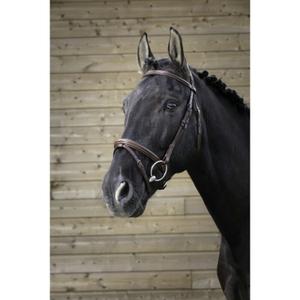 301827118-hoofdstellen-norton-pro-fin-havana