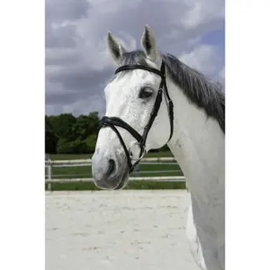 301832202-trans-for-ridning-norton-pro-vague-svart