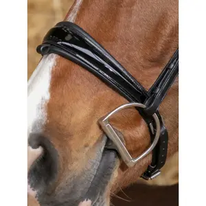 Cabeçadas de equitação Norton Pro Éclat image-1