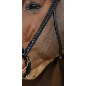 Cabeçadas de equitação Norton Pro Éclat image-2