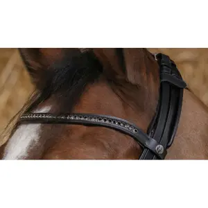 Cabeçadas de equitação Norton Pro Éclat image-3