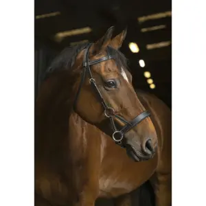 301889302-trans-for-ridning-norton-pro-side-pull-svart-hast