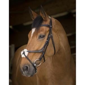 301893202-bridles-norton-pro-muserole-croisee-black