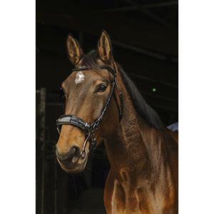 301899202-briglie-da-equitazione-norton-pro-hackamore-nero-purosangue